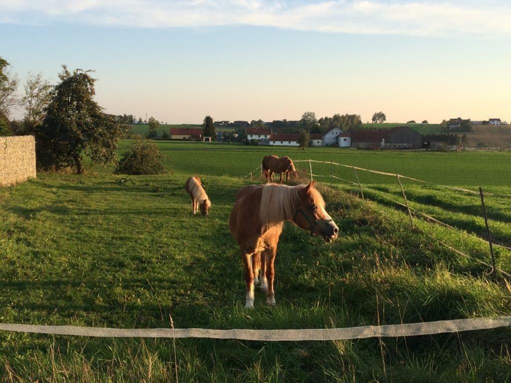 Ferienhof Loew Salzweg Екстериор снимка