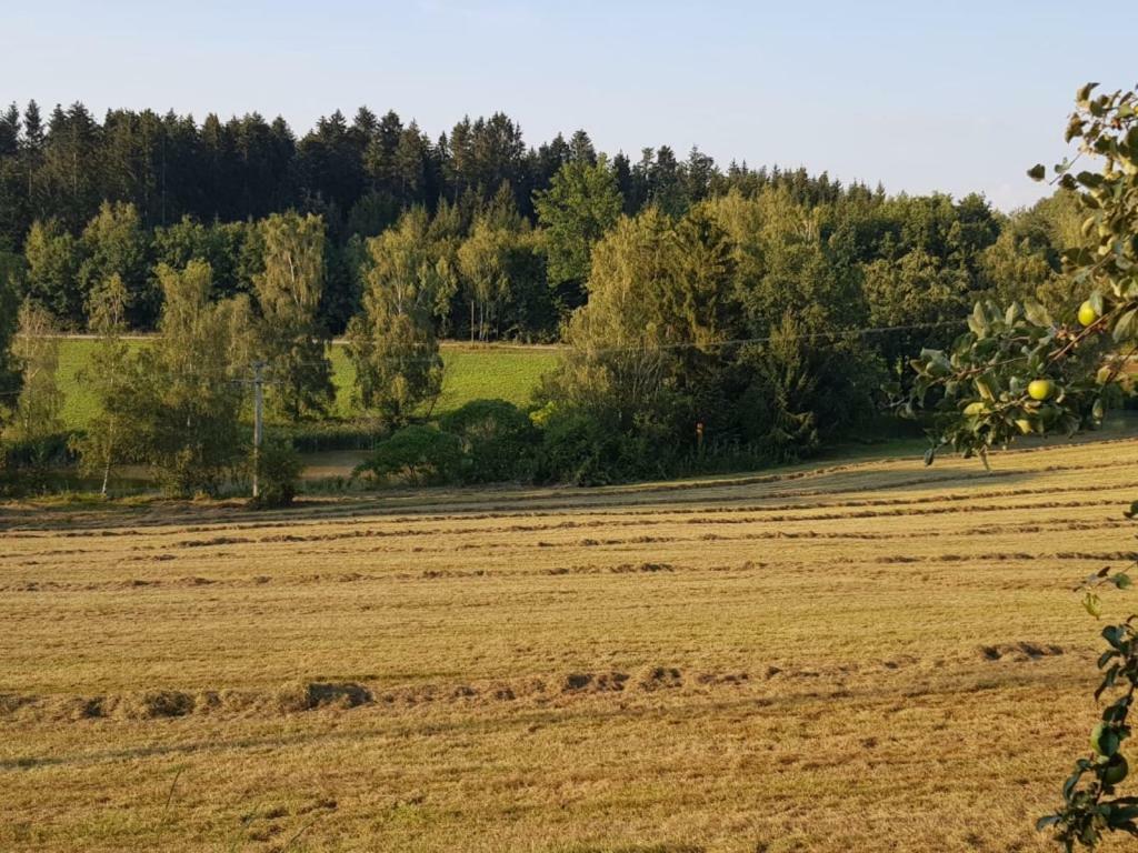 Ferienhof Loew Salzweg Екстериор снимка