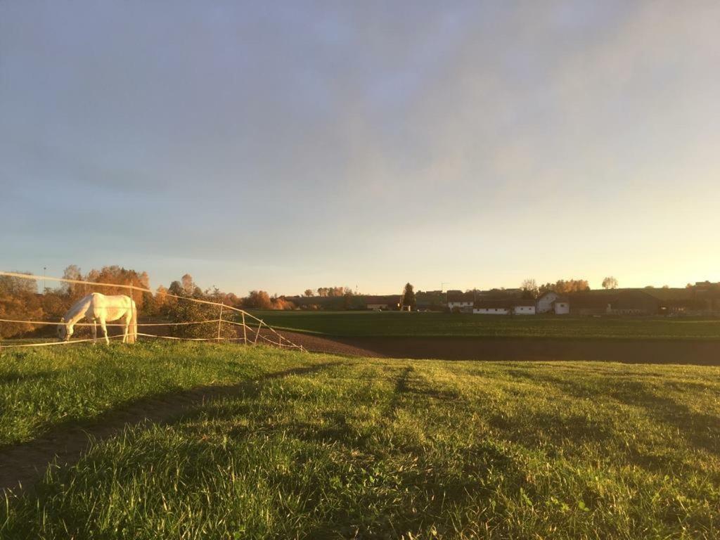 Ferienhof Loew Salzweg Екстериор снимка